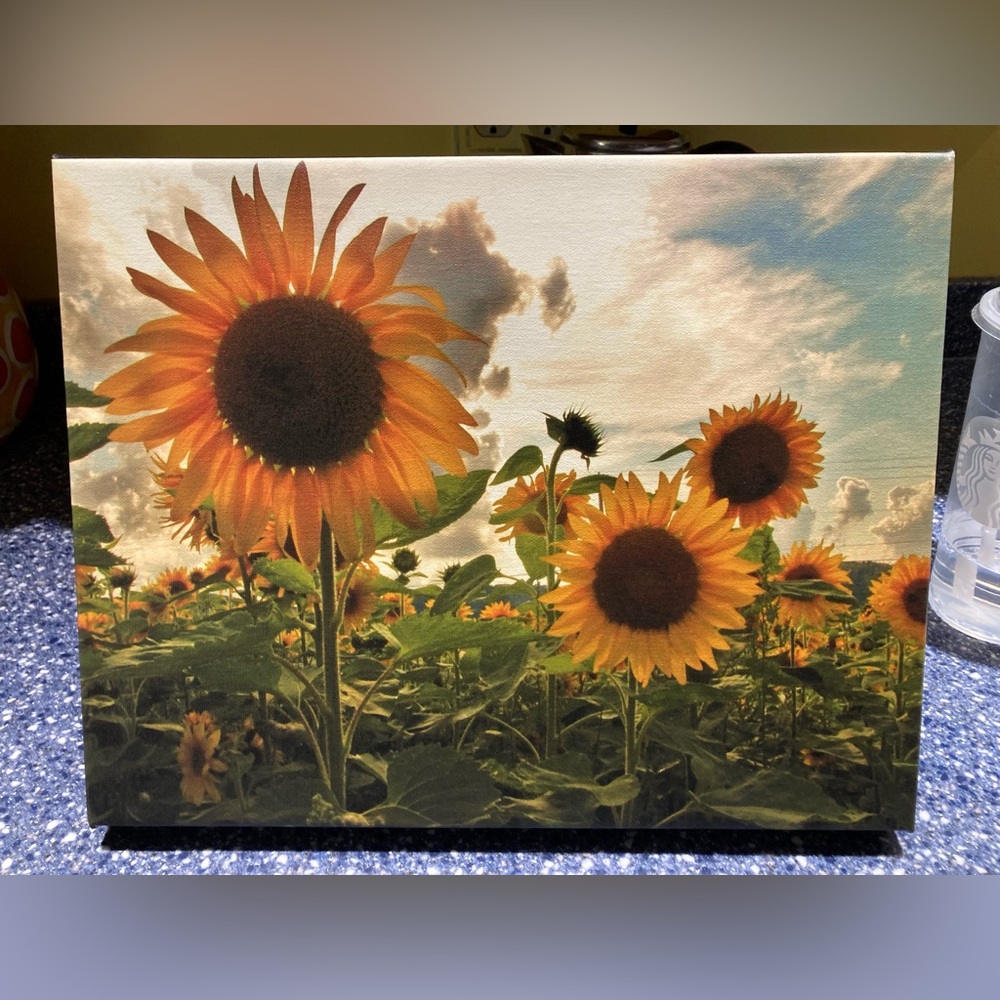 Sunflower Starburst Wall Art 11” x 14” Stretch Canvas on Wood Frame